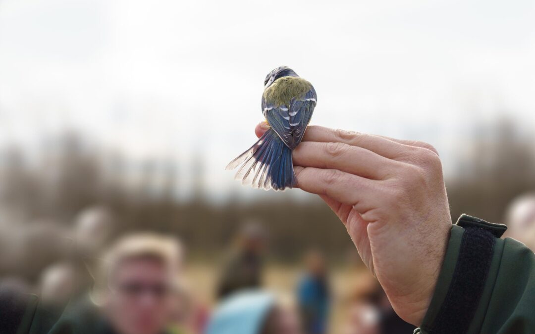 Exploring Living Things in Ecosystems