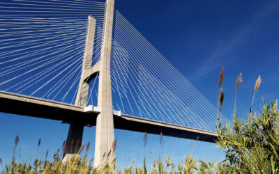 Exploring Bridge Formations