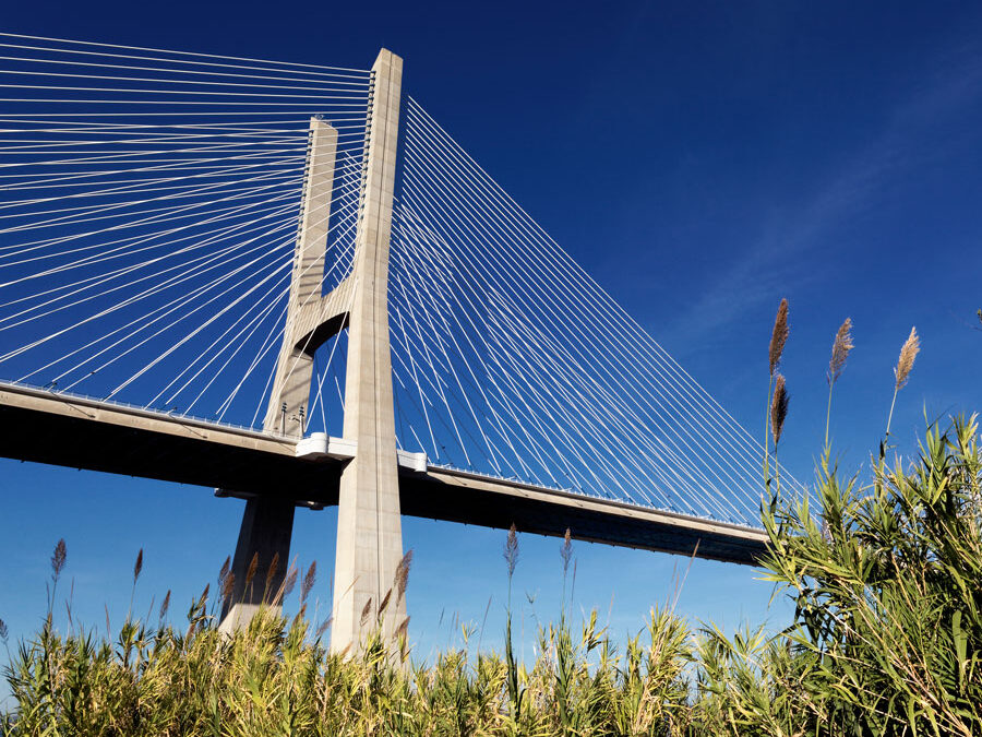 Exploring Bridge Formations