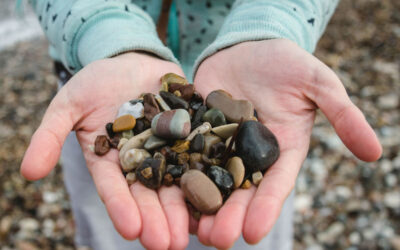 Rummaging Through Rocks