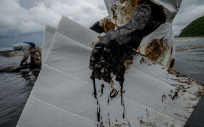 Exploring the Aftermath of Oil Spills